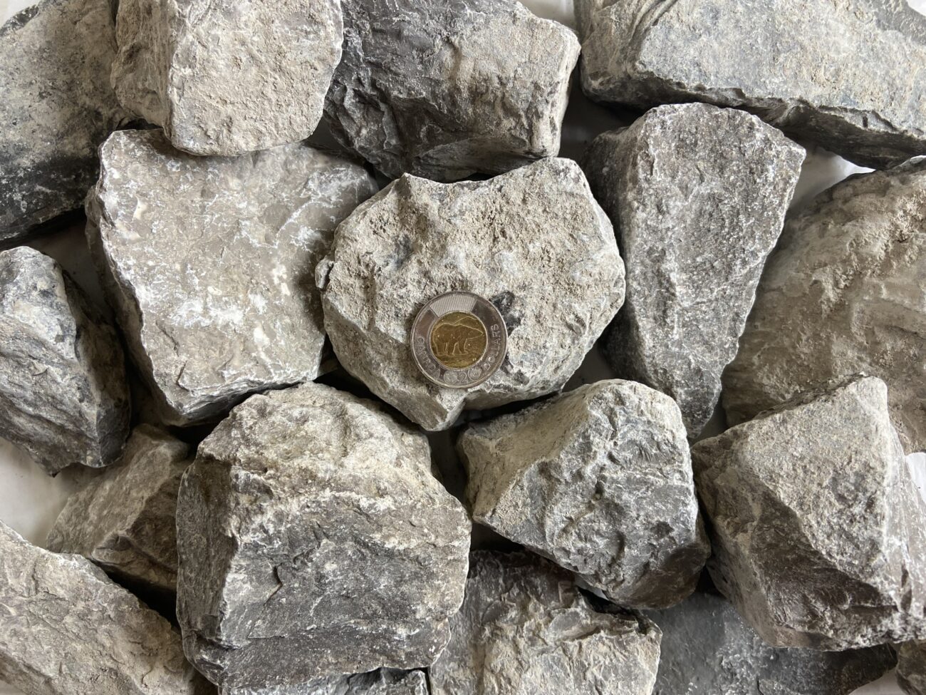 Gabion Stone